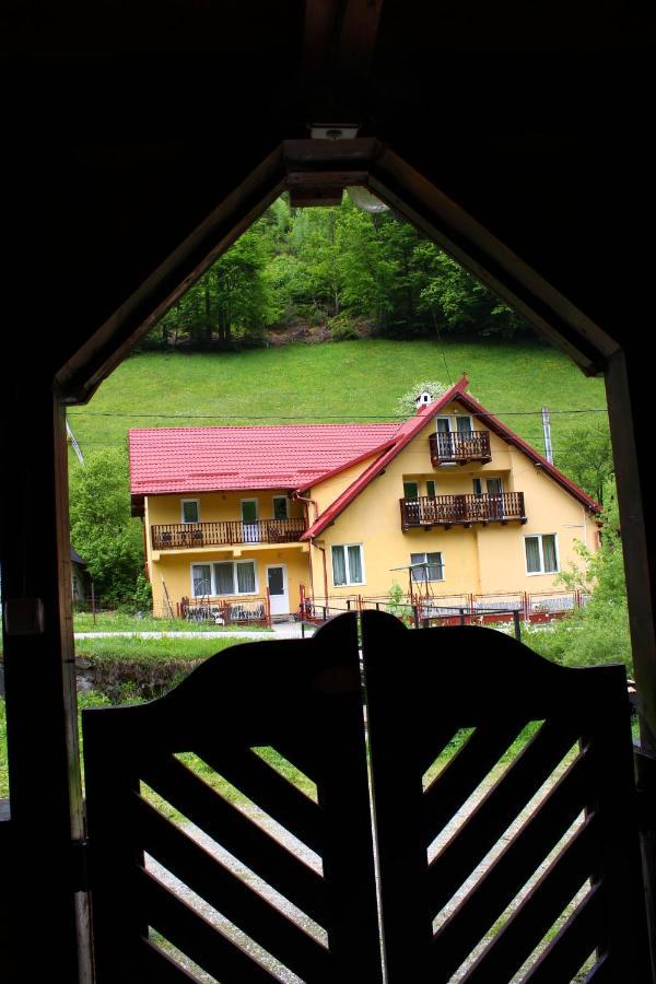 Casuta De Langa Padure Hotel Moeciu De Sus Buitenkant foto