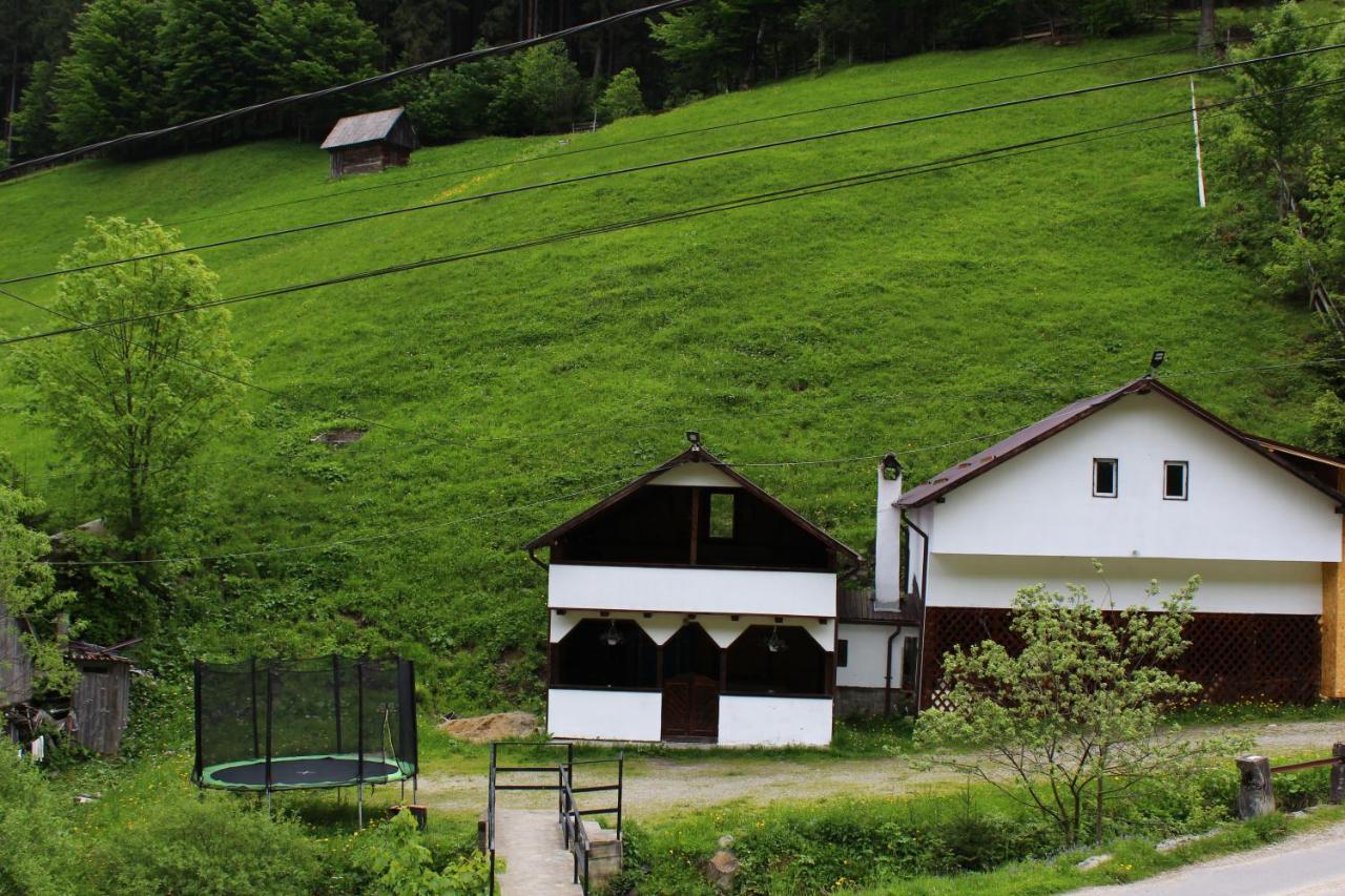 Casuta De Langa Padure Hotel Moeciu De Sus Buitenkant foto
