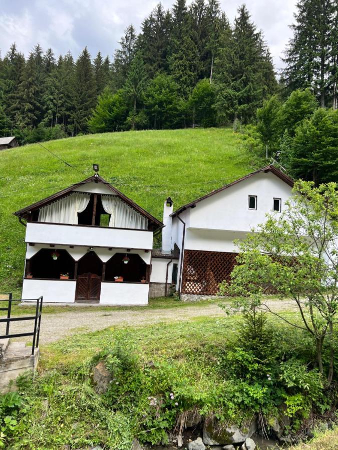 Casuta De Langa Padure Hotel Moeciu De Sus Buitenkant foto