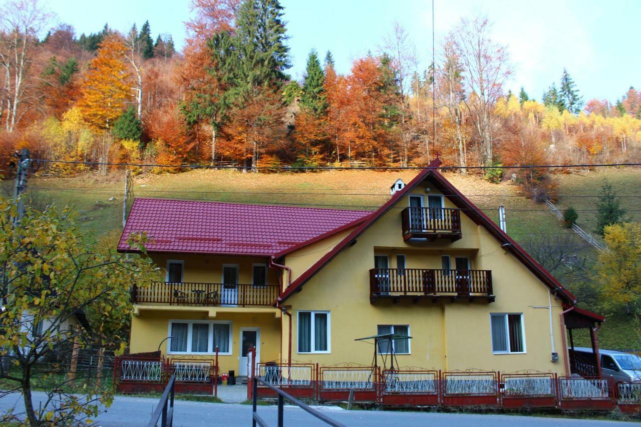Casuta De Langa Padure Hotel Moeciu De Sus Buitenkant foto