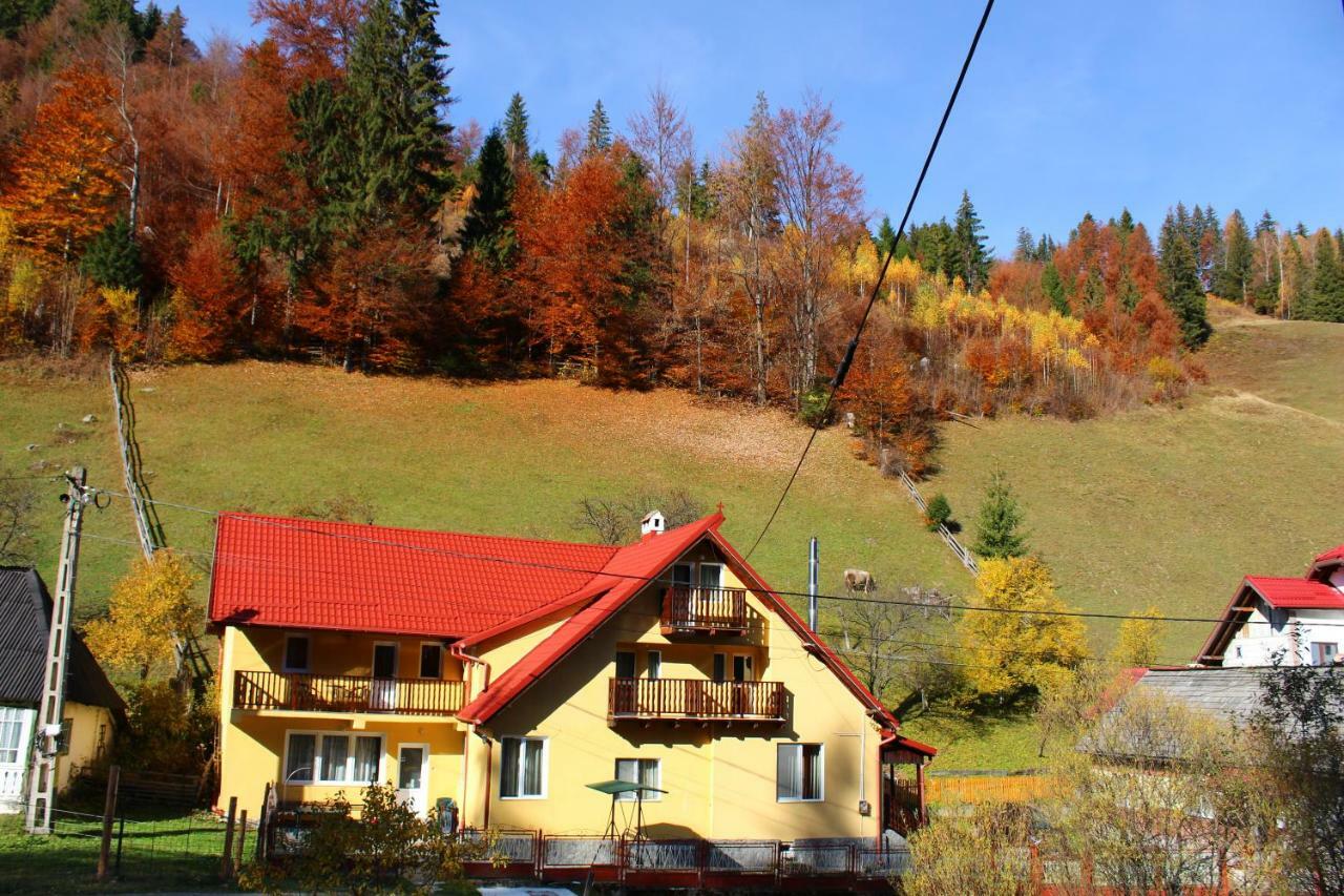 Casuta De Langa Padure Hotel Moeciu De Sus Buitenkant foto