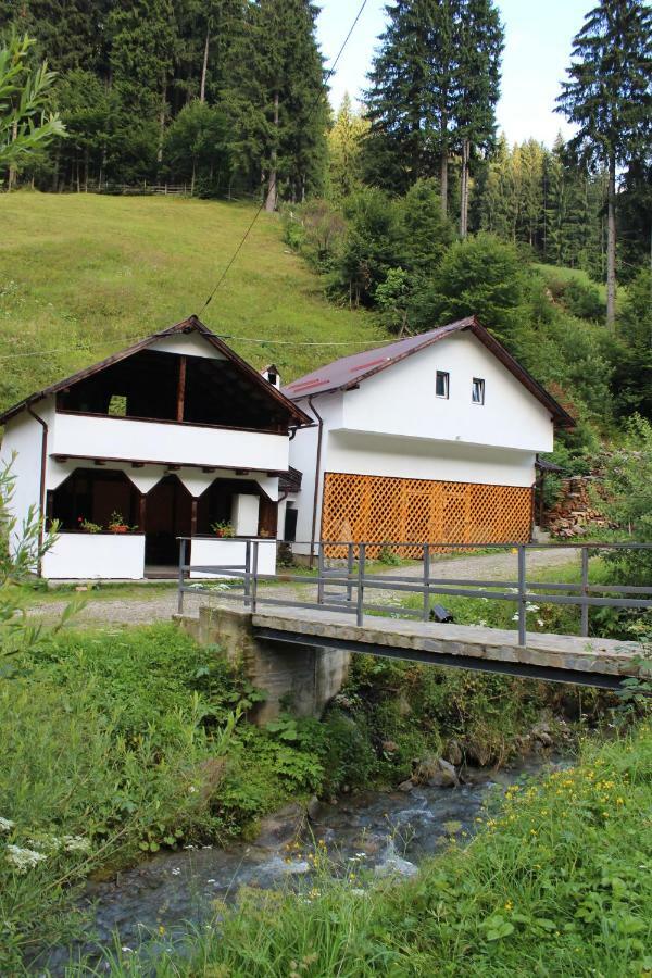 Casuta De Langa Padure Hotel Moeciu De Sus Buitenkant foto